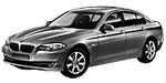 BMW F10 C0742 Fault Code